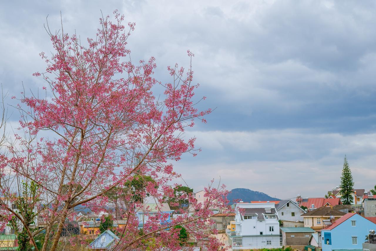 Apartmán Ruby House Dalat Exteriér fotografie